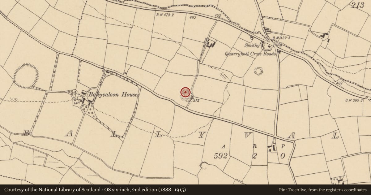 Ordnance Survey six-inch map, 2nd edition (1888–1915) covering the location of Ringfort - rath, Ballyvaloon, County Cork, with a pin at the register's coordinates