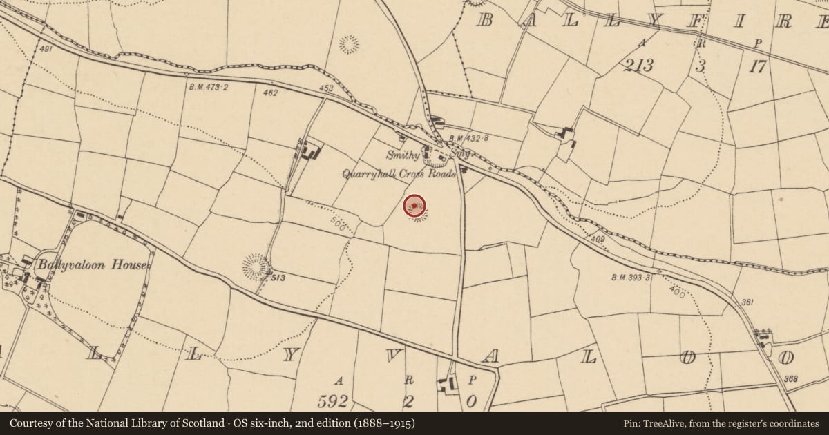 Ordnance Survey six-inch map, 2nd edition (1888–1915) covering the location of Ringfort - rath, Ballyvaloon, County Cork, with a pin at the register's coordinates