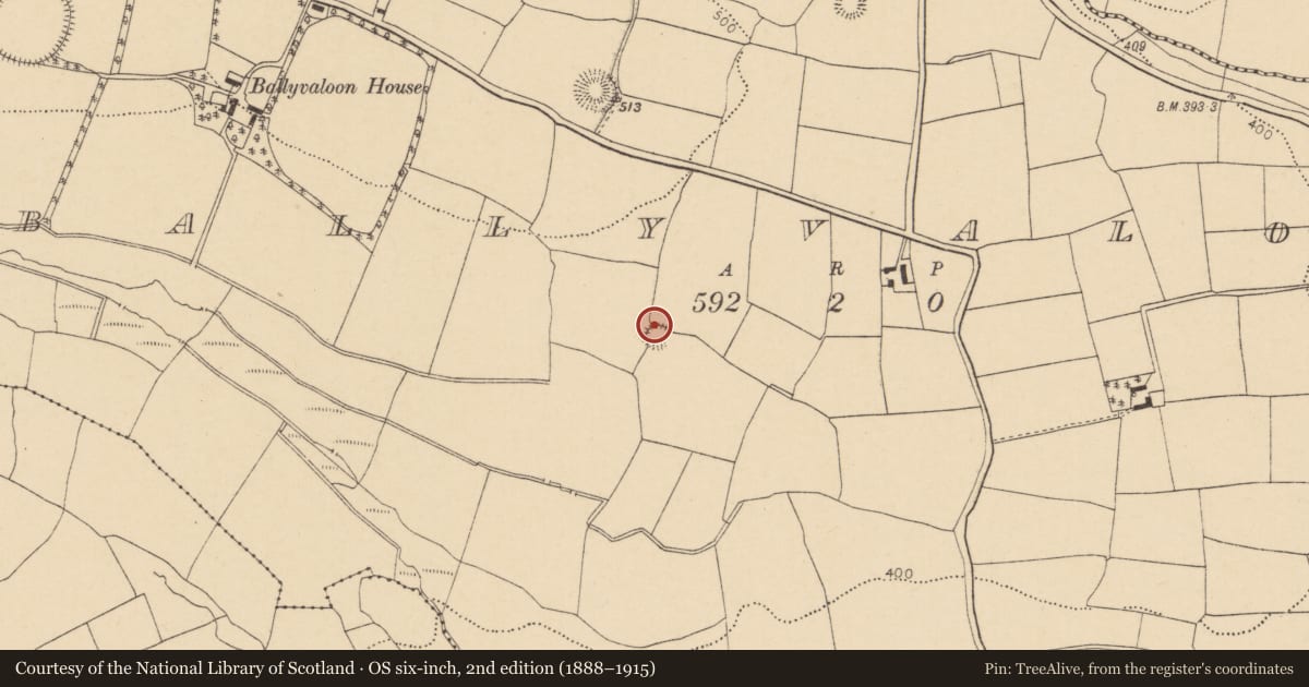 Ordnance Survey six-inch map, 2nd edition (1888–1915) covering the location of Ringfort - rath, Ballyvaloon, County Cork, with a pin at the register's coordinates