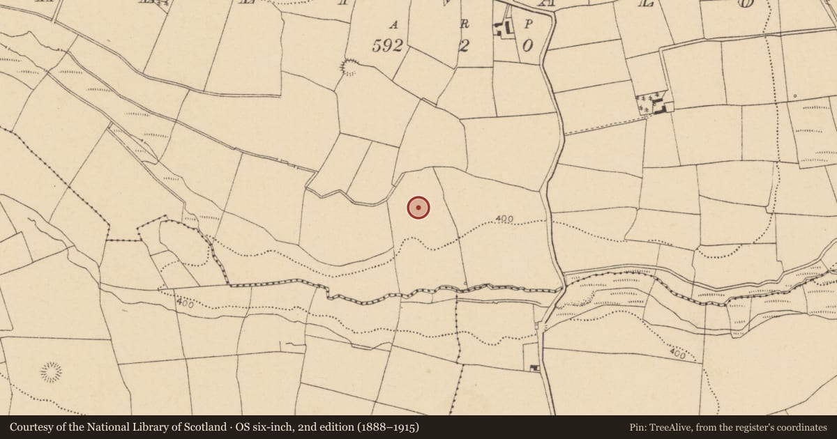 Ordnance Survey six-inch map, 2nd edition (1888–1915) covering the location of Standing stone, Ballyvaloon, County Cork, with a pin at the register's coordinates