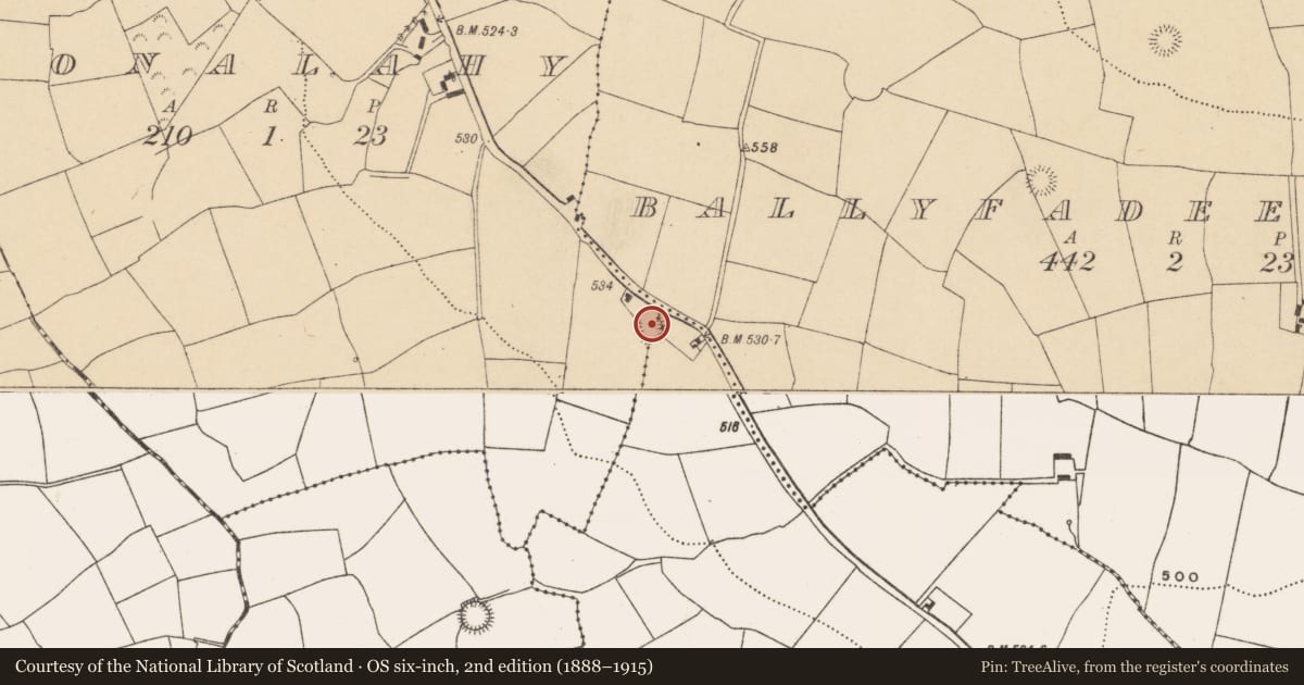 Ordnance Survey six-inch map, 2nd edition (1888–1915) covering the location of Ringfort - rath, Monalahy, County Cork, with a pin at the register's coordinates