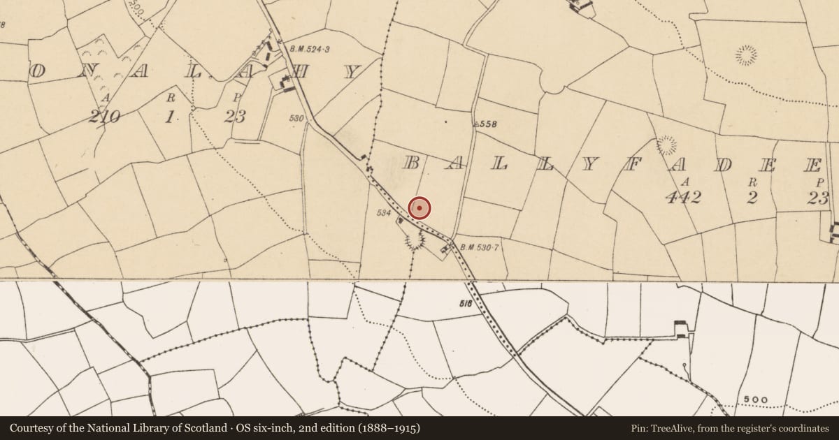 Ordnance Survey six-inch map, 2nd edition (1888–1915) covering the location of Ringfort - rath, Ballyfadeen More, County Cork, with a pin at the register's coordinates