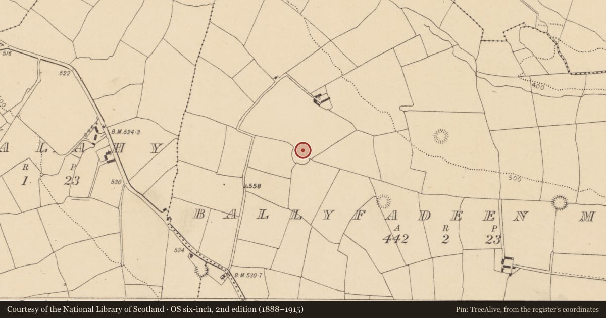 Ordnance Survey six-inch map, 2nd edition (1888–1915) covering the location of Ringfort - rath, Ballyfadeen More, County Cork, with a pin at the register's coordinates