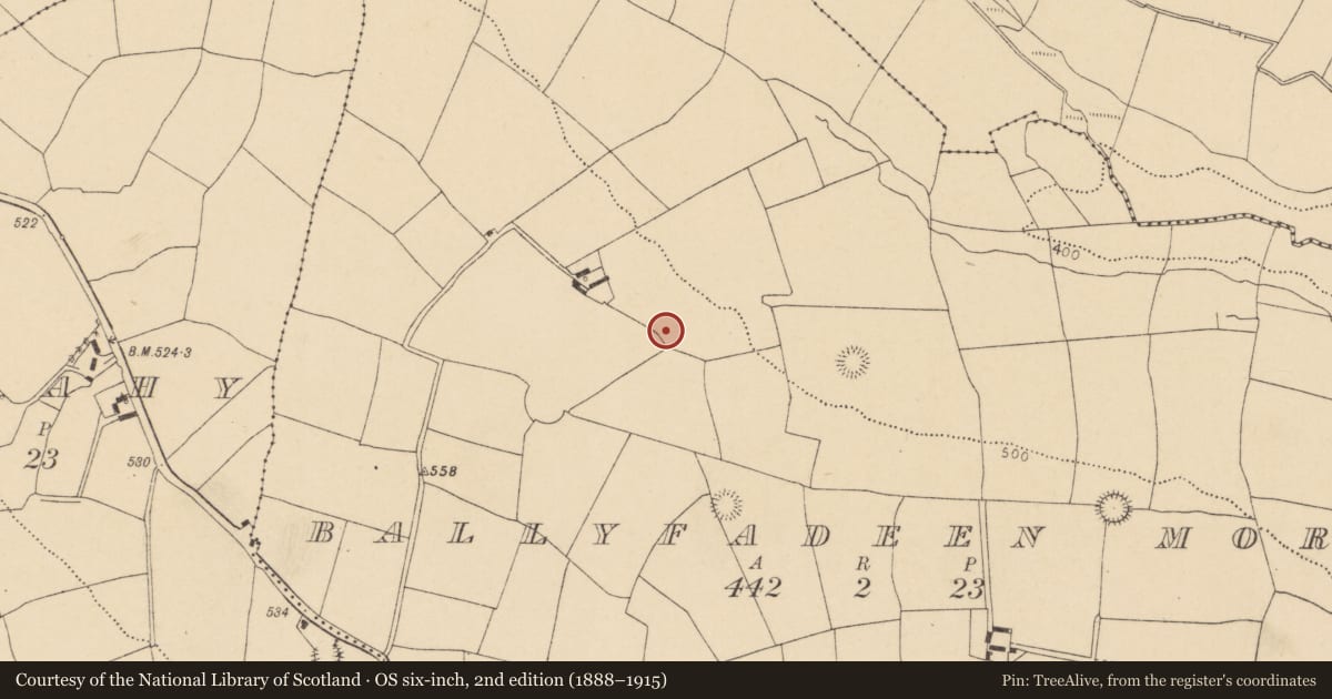 Ordnance Survey six-inch map, 2nd edition (1888–1915) covering the location of Ringfort - rath, Ballyfadeen More, County Cork, with a pin at the register's coordinates