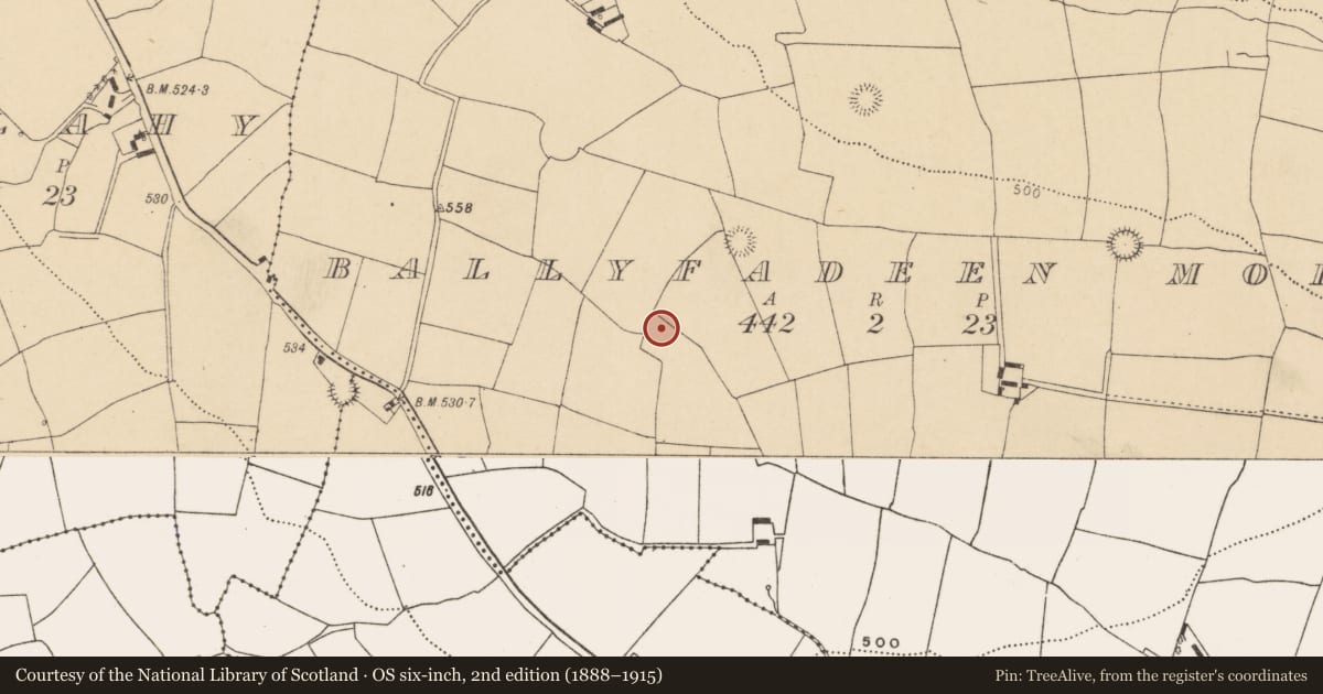 Ordnance Survey six-inch map, 2nd edition (1888–1915) covering the location of Burial ground, Ballyfadeen More, County Cork, with a pin at the register's coordinates