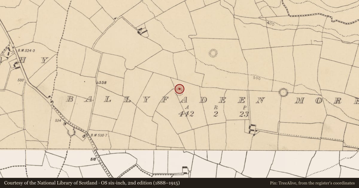 Ordnance Survey six-inch map, 2nd edition (1888–1915) covering the location of Ringfort - rath, Ballyfadeen More, County Cork, with a pin at the register's coordinates