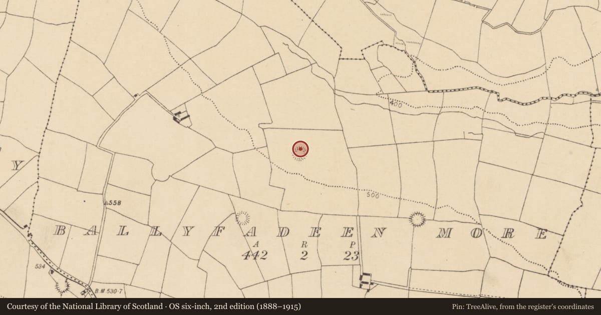 Ordnance Survey six-inch map, 2nd edition (1888–1915) covering the location of Ringfort - rath, Ballyfadeen More, County Cork, with a pin at the register's coordinates