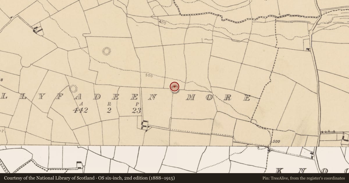 Ordnance Survey six-inch map, 2nd edition (1888–1915) covering the location of Ringfort - rath, Ballyfadeen More, County Cork, with a pin at the register's coordinates