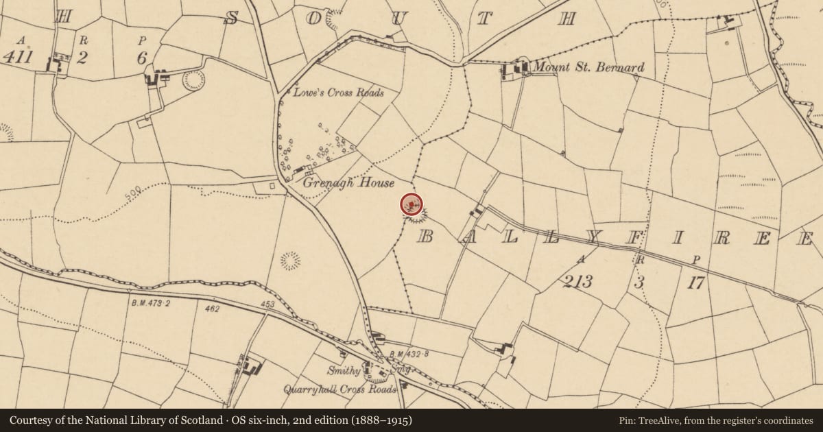 Ordnance Survey six-inch map, 2nd edition (1888–1915) covering the location of Ringfort - rath, Ballyfireen, County Cork, with a pin at the register's coordinates