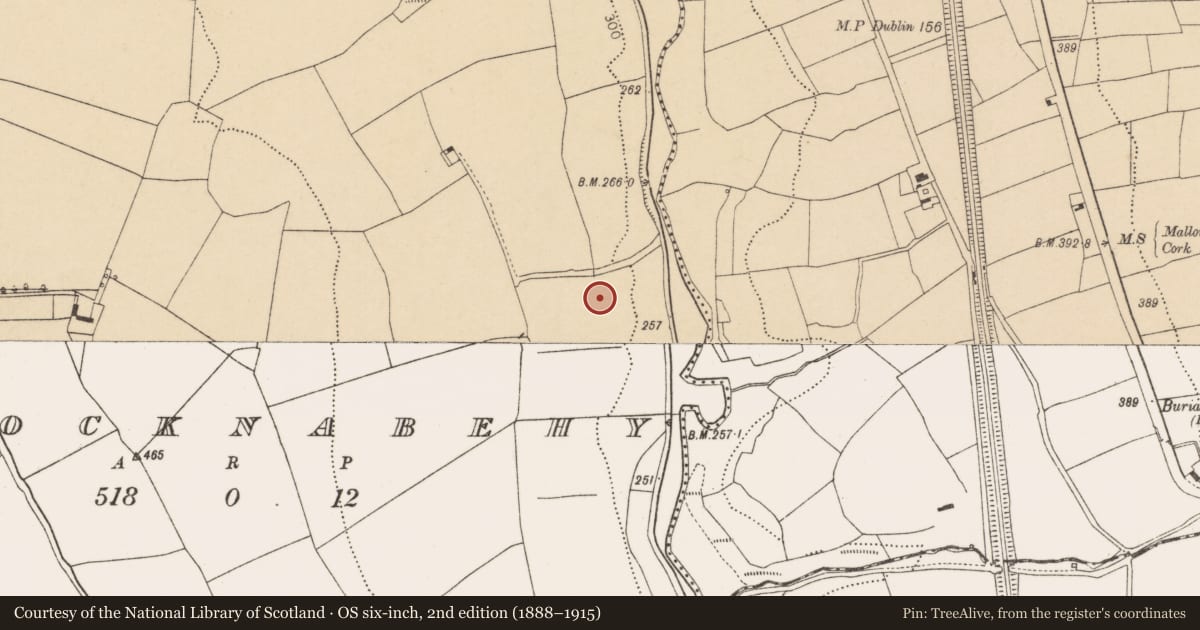 Ordnance Survey six-inch map, 2nd edition (1888–1915) covering the location of Standing stone, Knocknabehy, County Cork, with a pin at the register's coordinates