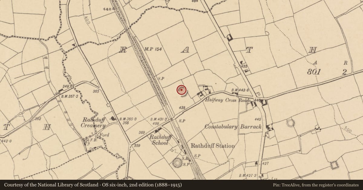 Ordnance Survey six-inch map, 2nd edition (1888–1915) covering the location of Ringfort - rath, Rathduff, County Cork, with a pin at the register's coordinates