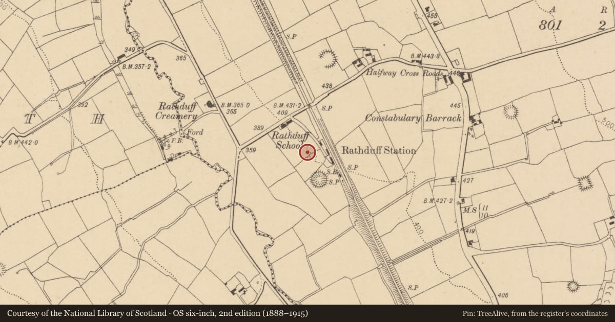 Ordnance Survey six-inch map, 2nd edition (1888–1915) covering the location of Kiln - lime, Rathduff, County Cork, with a pin at the register's coordinates