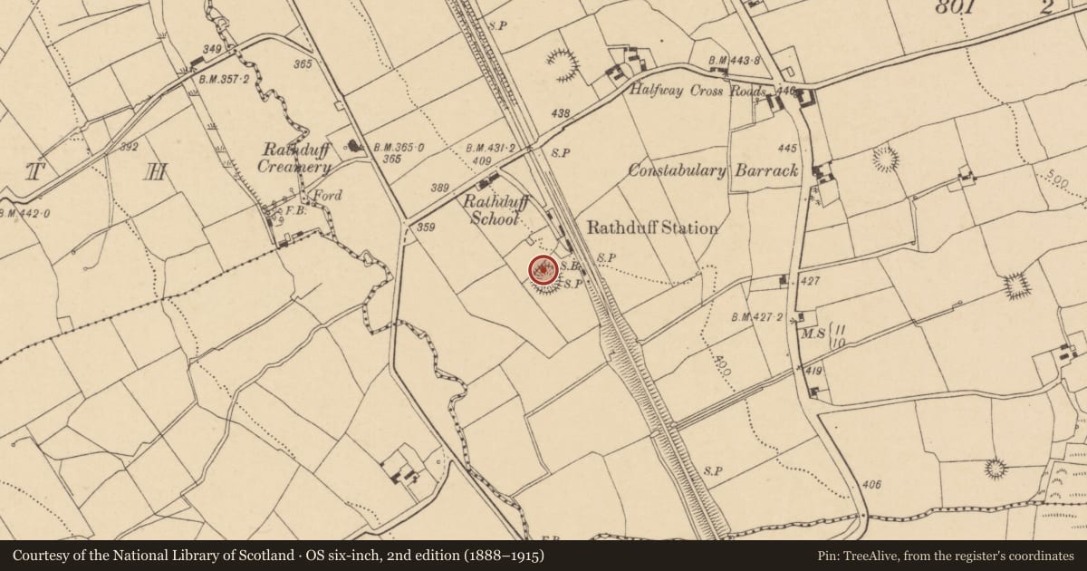Ordnance Survey six-inch map, 2nd edition (1888–1915) covering the location of Ringfort - rath, Rathduff, County Cork, with a pin at the register's coordinates