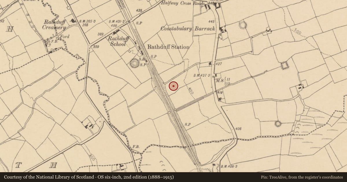 Ordnance Survey six-inch map, 2nd edition (1888–1915) covering the location of Ringfort - rath, Rathduff, County Cork, with a pin at the register's coordinates