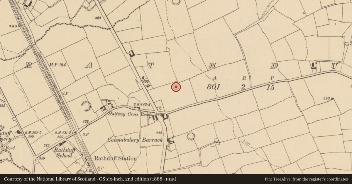 Ordnance Survey six-inch map, 2nd edition (1888–1915) covering the location of Ringfort - rath, Rathduff, County Cork, with a pin at the register's coordinates