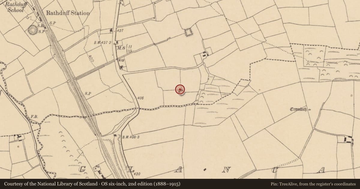 Ordnance Survey six-inch map, 2nd edition (1888–1915) covering the location of Ringfort - rath, Rathduff, County Cork, with a pin at the register's coordinates