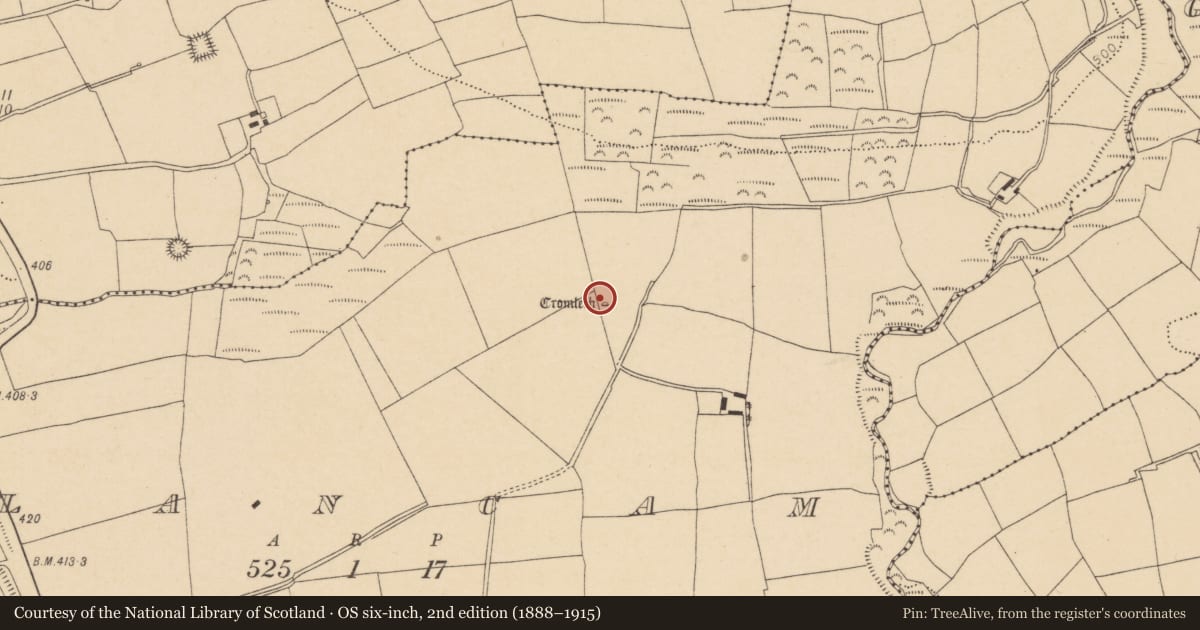 Ordnance Survey six-inch map, 2nd edition (1888–1915) covering the location of Megalithic tomb - unclassified, Glancam, County Cork, with a pin at the register's coordinates