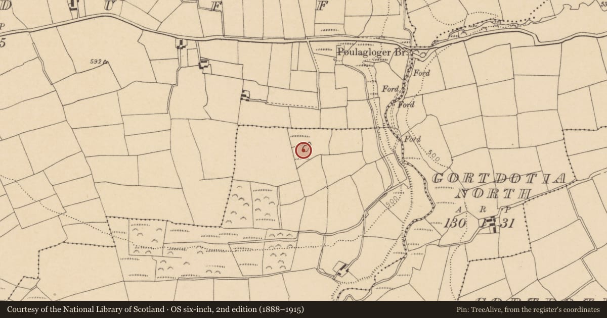 Ordnance Survey six-inch map, 2nd edition (1888–1915) covering the location of Fulacht fia, Glancam, County Cork, with a pin at the register's coordinates