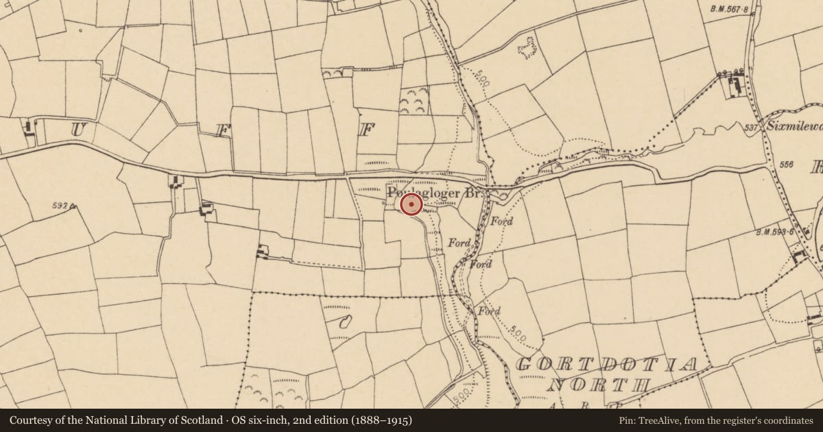 Ordnance Survey six-inch map, 2nd edition (1888–1915) covering the location of Fulacht fia, Rathduff, County Cork, with a pin at the register's coordinates