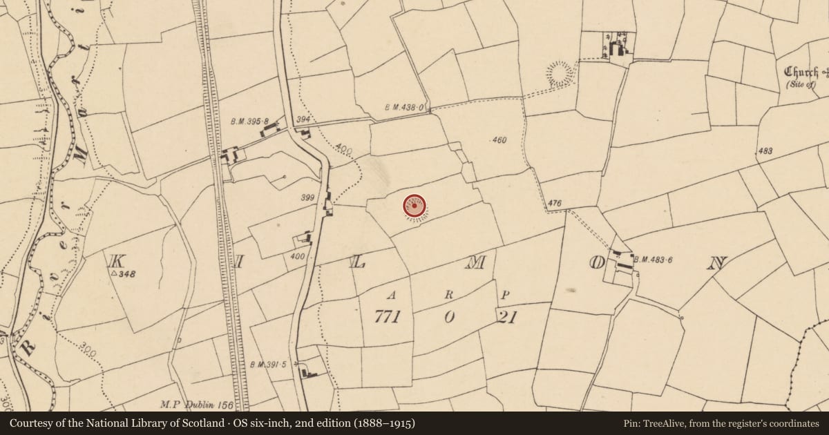 Ordnance Survey six-inch map, 2nd edition (1888–1915) covering the location of Ringfort - rath, Kilmona, County Cork, with a pin at the register's coordinates