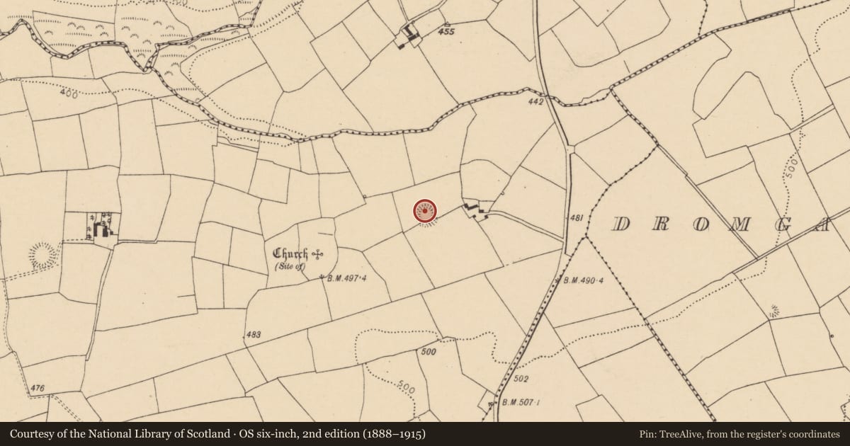 Ordnance Survey six-inch map, 2nd edition (1888–1915) covering the location of Ringfort - rath, Kilmona, County Cork, with a pin at the register's coordinates