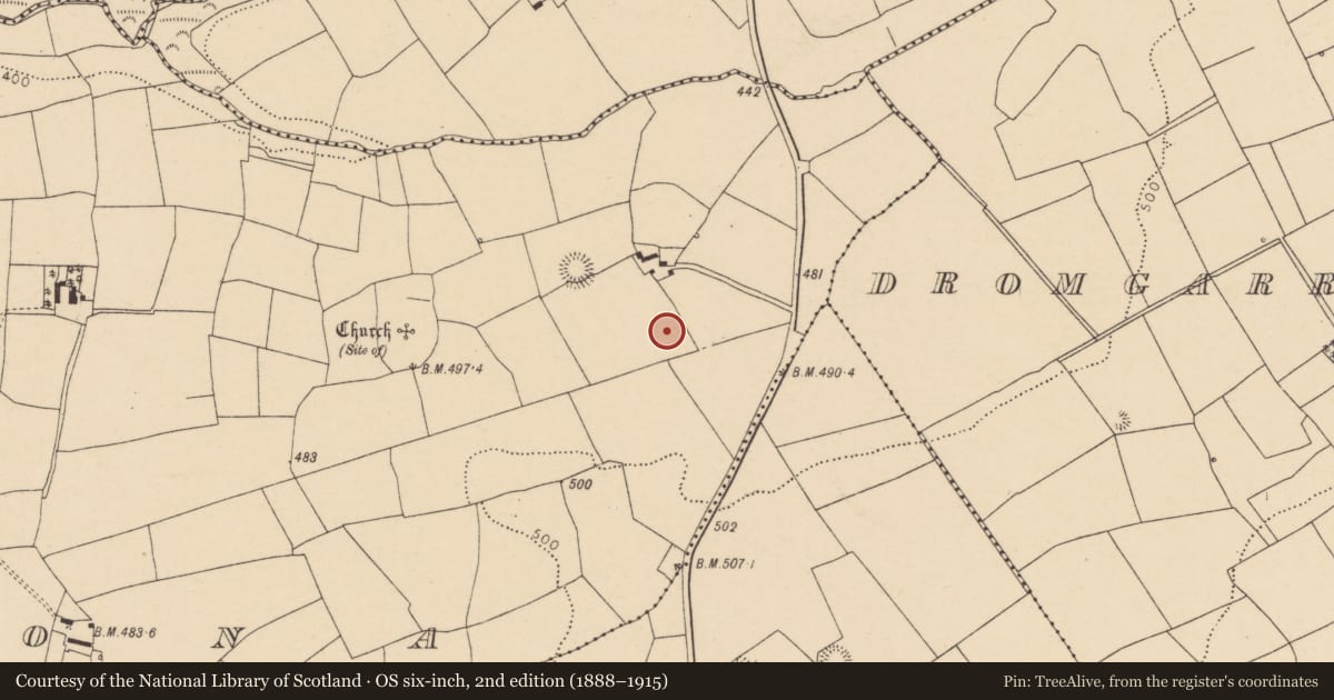 Ordnance Survey six-inch map, 2nd edition (1888–1915) covering the location of Fulacht fia, Kilmona, County Cork, with a pin at the register's coordinates