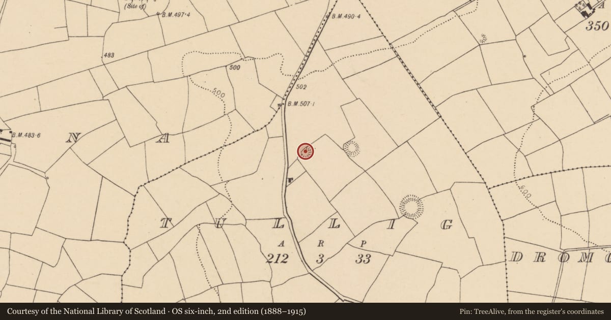 Ordnance Survey six-inch map, 2nd edition (1888–1915) covering the location of Ringfort - rath, Tullig, County Cork, with a pin at the register's coordinates