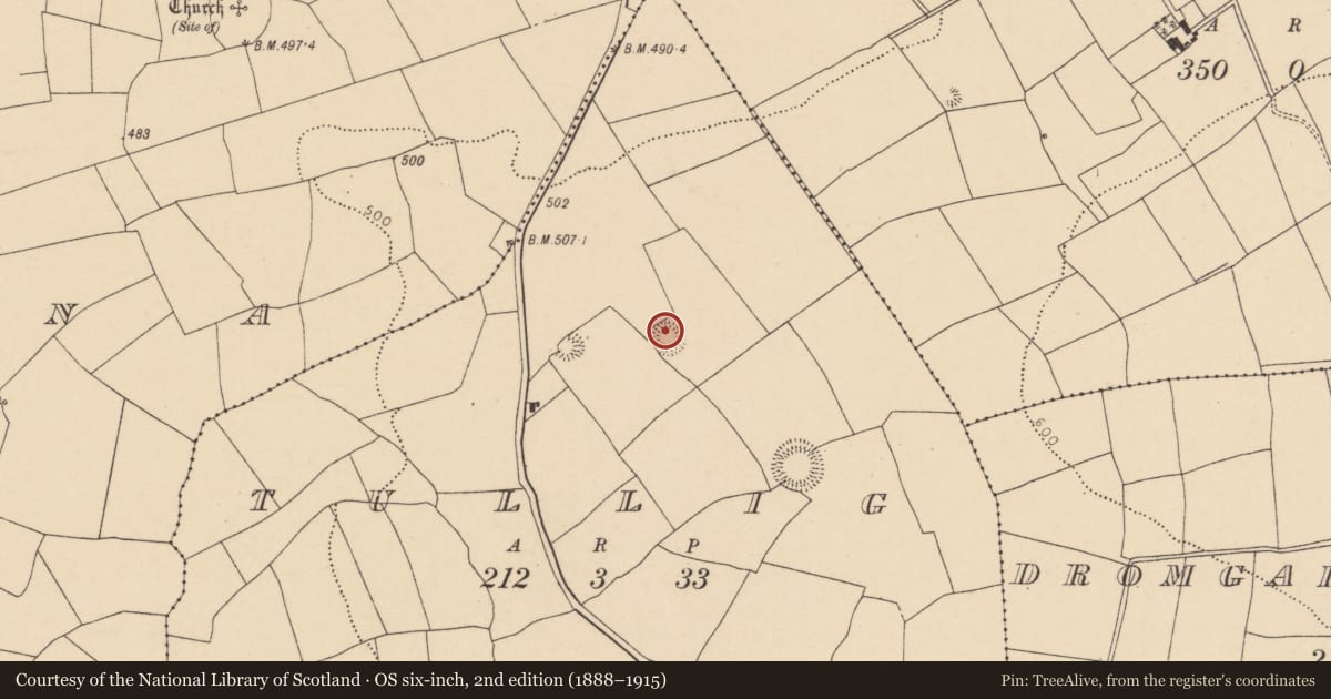 Ordnance Survey six-inch map, 2nd edition (1888–1915) covering the location of Ringfort - rath, Tullig, County Cork, with a pin at the register's coordinates