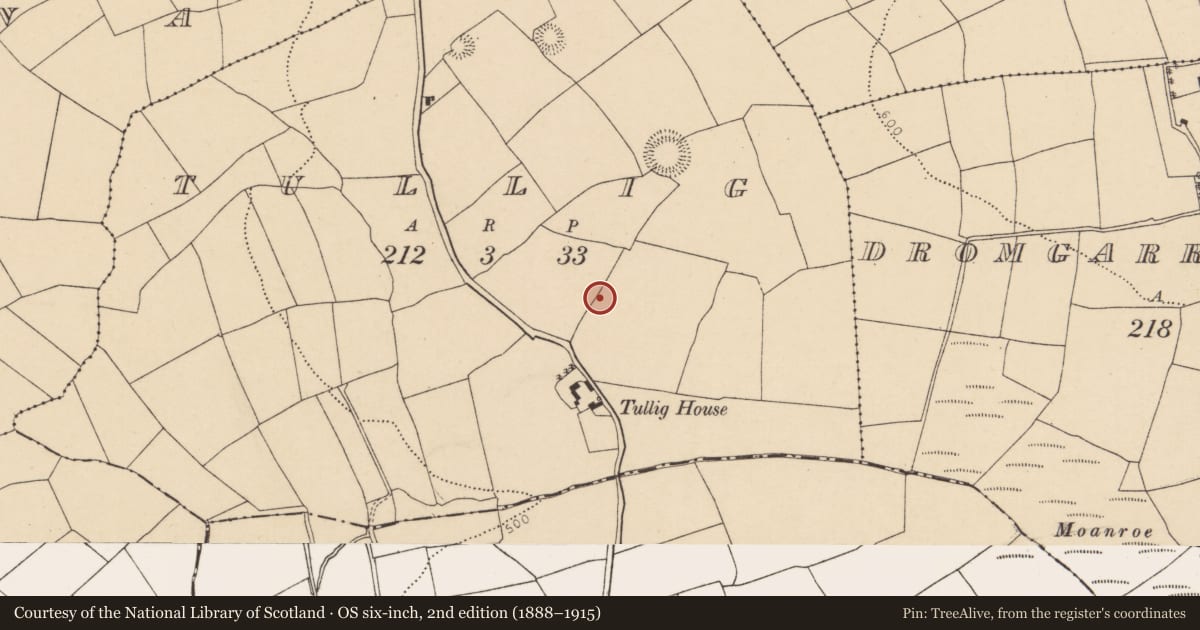 Ordnance Survey six-inch map, 2nd edition (1888–1915) covering the location of Ringfort - rath, Tullig, County Cork, with a pin at the register's coordinates