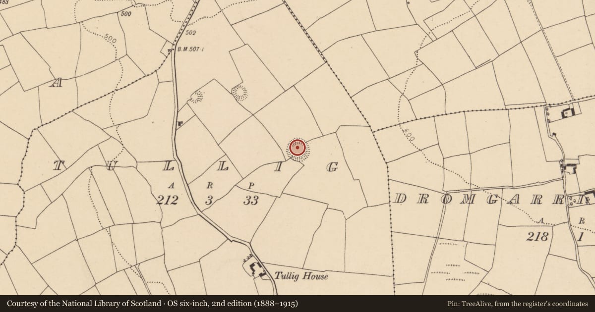 Ordnance Survey six-inch map, 2nd edition (1888–1915) covering the location of Ringfort - rath, Tullig, County Cork, with a pin at the register's coordinates