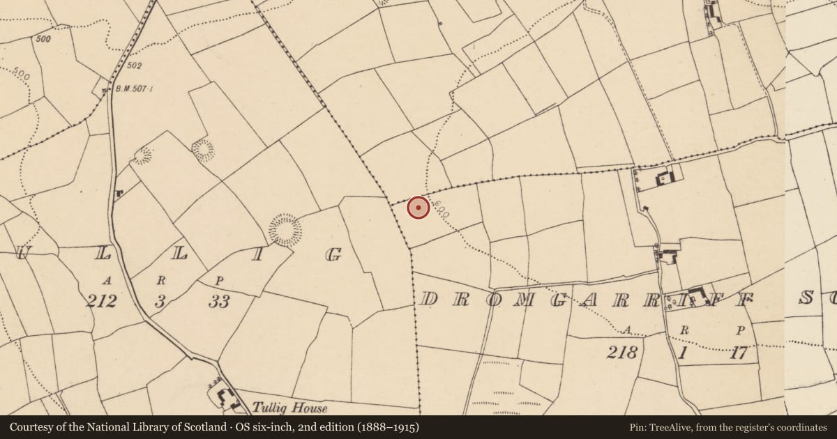 Ordnance Survey six-inch map, 2nd edition (1888–1915) covering the location of Stone circle - five-stone, Dromgarriff South, County Cork, with a pin at the register's coordinates