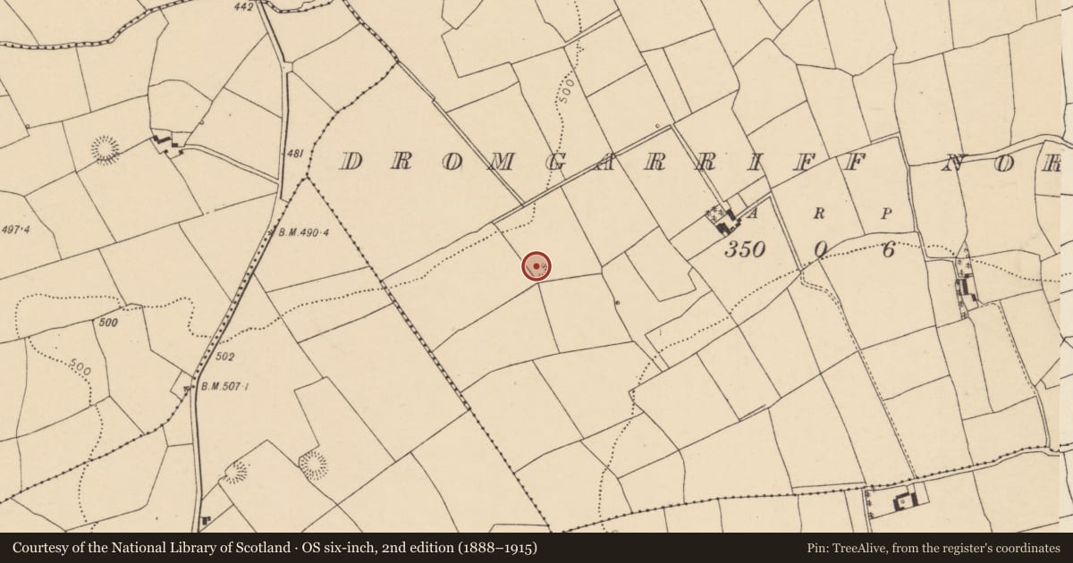 Ordnance Survey six-inch map, 2nd edition (1888–1915) covering the location of Earthwork, Dromgarriff North, County Cork, with a pin at the register's coordinates