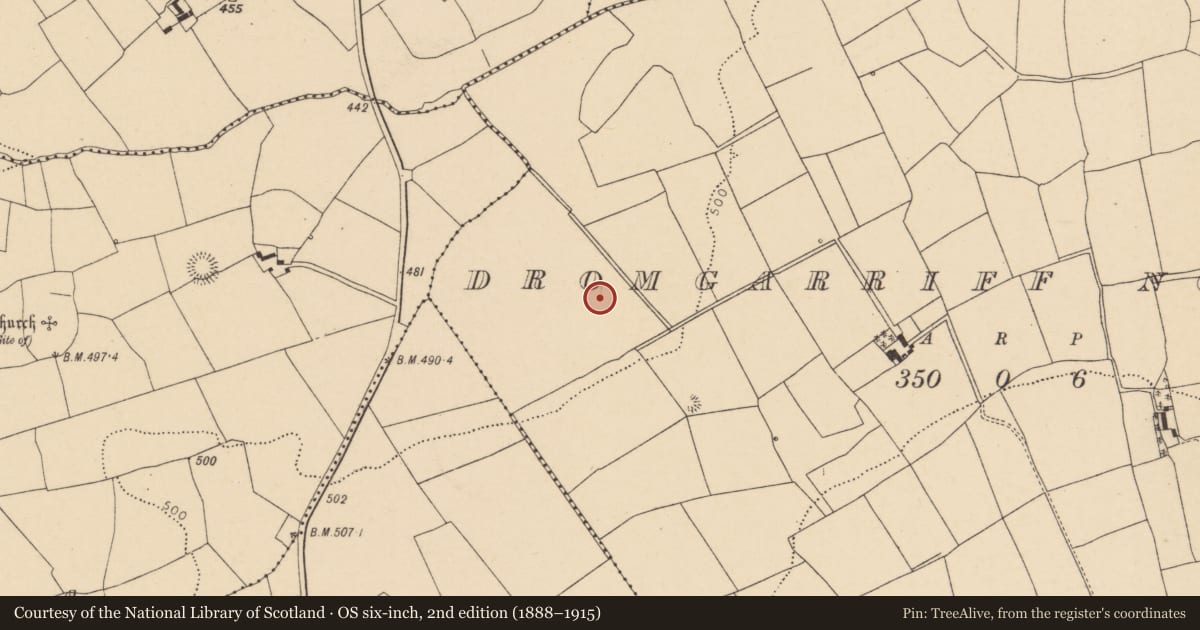 Ordnance Survey six-inch map, 2nd edition (1888–1915) covering the location of Fulacht fia, Dromgarriff North, County Cork, with a pin at the register's coordinates