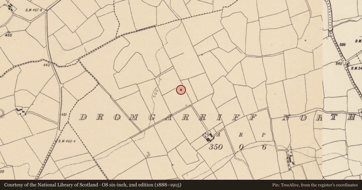 Ordnance Survey six-inch map, 2nd edition (1888–1915) covering the location of Fulacht fia, Dromgarriff North, County Cork, with a pin at the register's coordinates