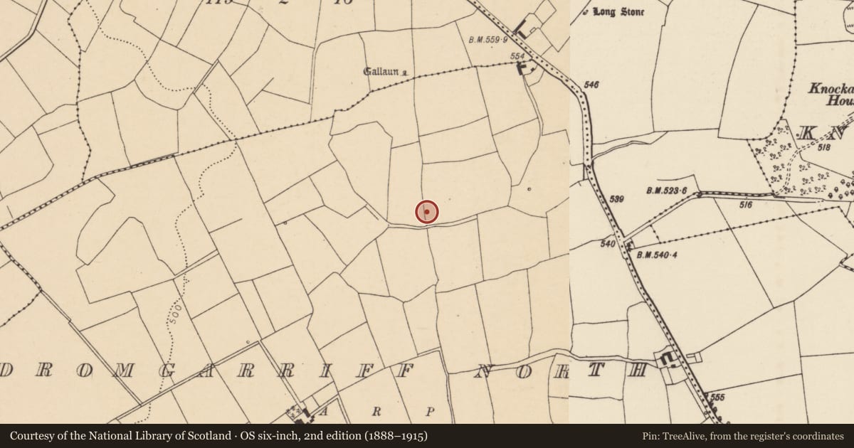 Ordnance Survey six-inch map, 2nd edition (1888–1915) covering the location of Anomalous stone group, Dromgarriff North, County Cork, with a pin at the register's coordinates