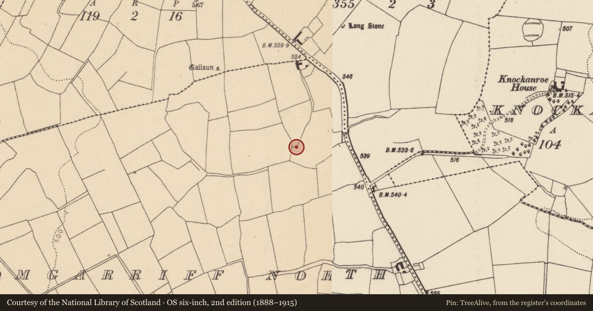 Ordnance Survey six-inch map, 2nd edition (1888–1915) covering the location of Fulacht fia, Dromgarriff North, County Cork, with a pin at the register's coordinates