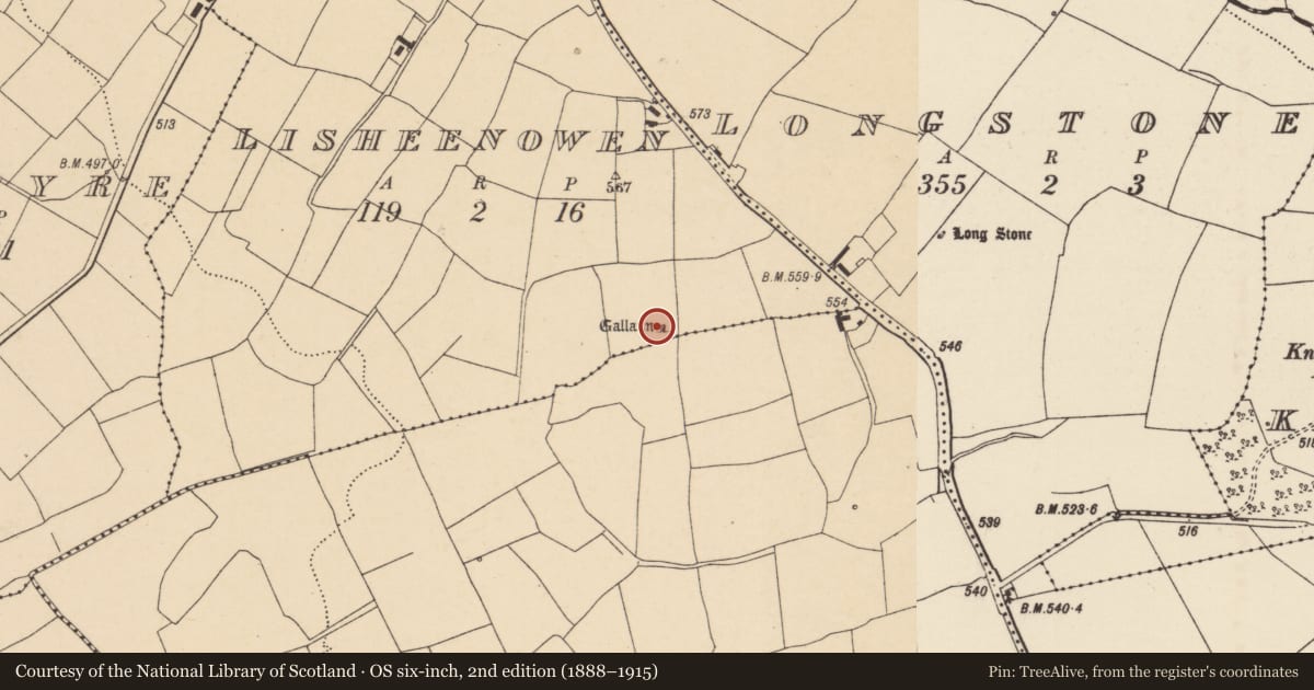 Ordnance Survey six-inch map, 2nd edition (1888–1915) covering the location of Standing stone, Lisheenowen, County Cork, with a pin at the register's coordinates