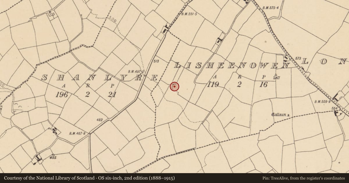 Ordnance Survey six-inch map, 2nd edition (1888–1915) covering the location of Ringfort - rath, Lisheenowen, County Cork, with a pin at the register's coordinates