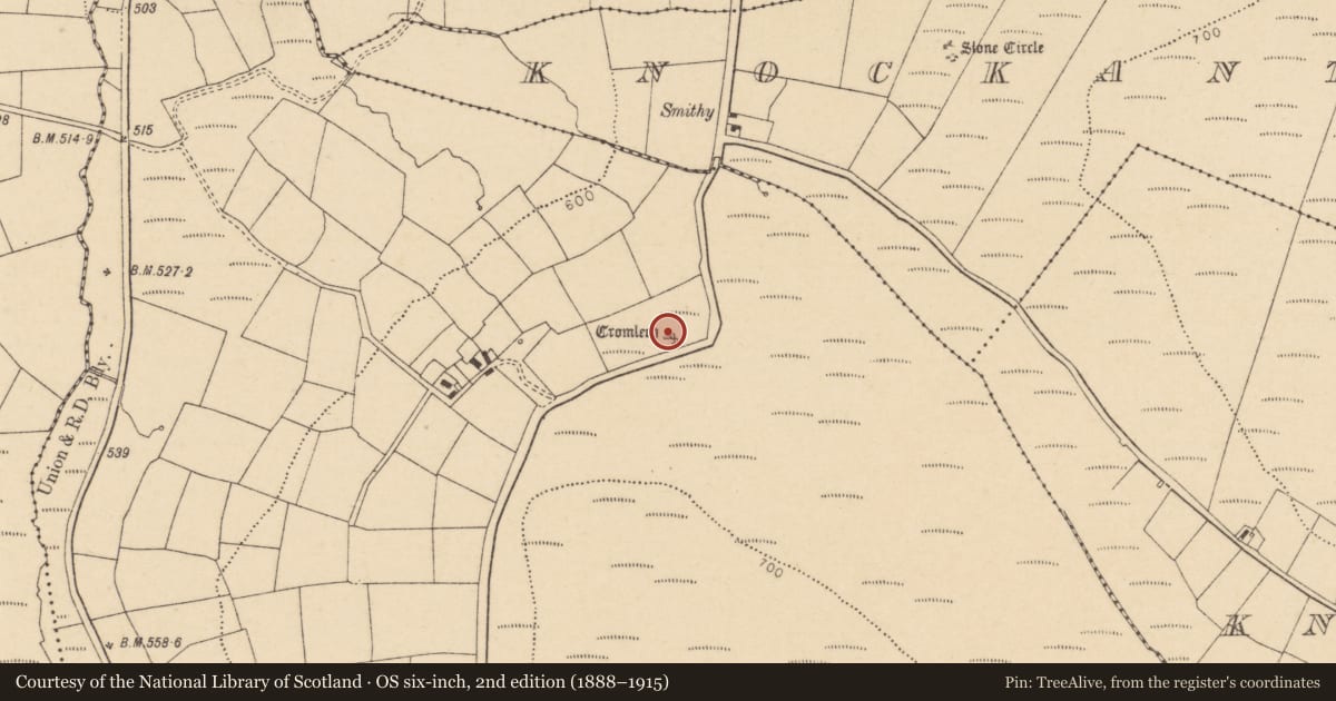 Ordnance Survey six-inch map, 2nd edition (1888–1915) covering the location of Stone row, Lyradane, County Cork, with a pin at the register's coordinates