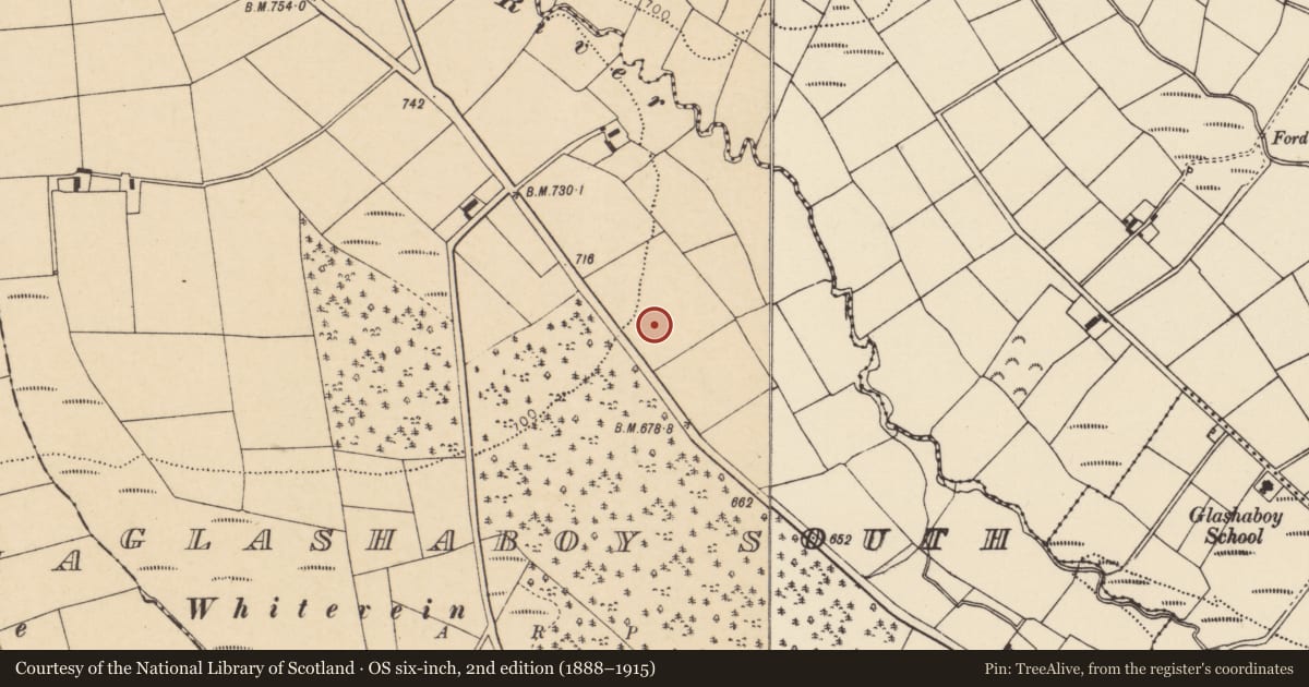 Ordnance Survey six-inch map, 2nd edition (1888–1915) covering the location of Standing stone, Glashaboy South, County Cork, with a pin at the register's coordinates