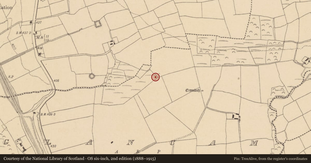 Ordnance Survey six-inch map, 2nd edition (1888–1915) covering the location of Fulacht fia, Glancam, County Cork, with a pin at the register's coordinates