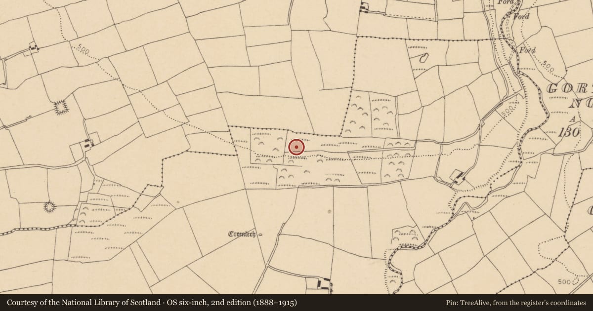 Ordnance Survey six-inch map, 2nd edition (1888–1915) covering the location of Fulacht fia, Glancam, County Cork, with a pin at the register's coordinates