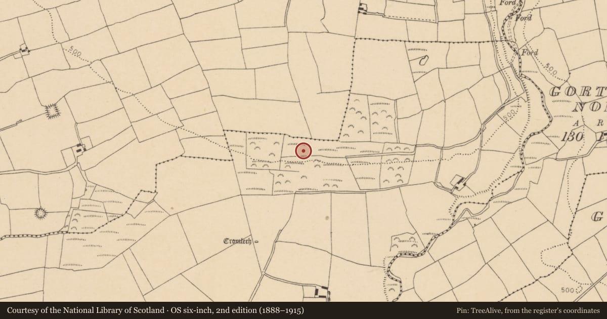 Ordnance Survey six-inch map, 2nd edition (1888–1915) covering the location of Fulacht fia, Glancam, County Cork, with a pin at the register's coordinates