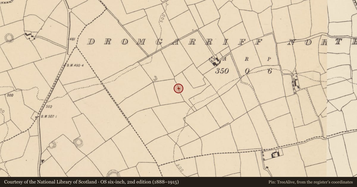 Ordnance Survey six-inch map, 2nd edition (1888–1915) covering the location of Fulacht fia, Dromgarriff North, County Cork, with a pin at the register's coordinates