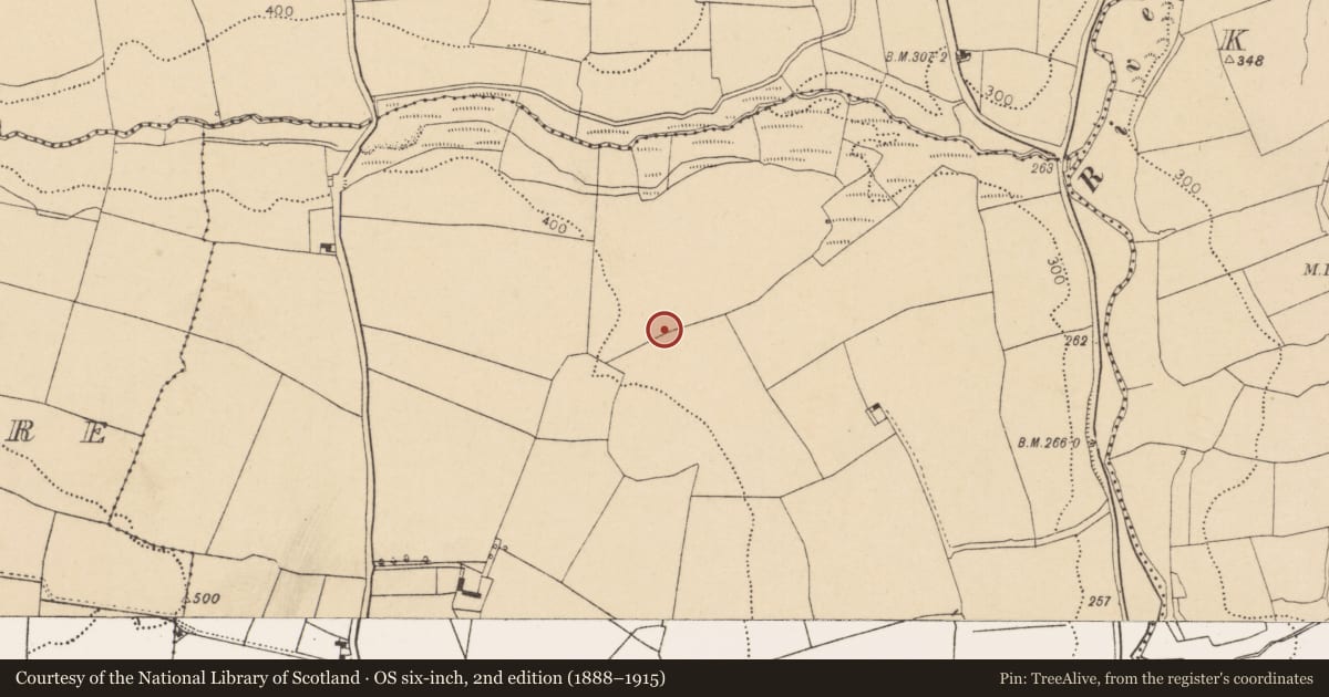 Ordnance Survey six-inch map, 2nd edition (1888–1915) covering the location of Fulacht fia, Knocknabehy, County Cork, with a pin at the register's coordinates