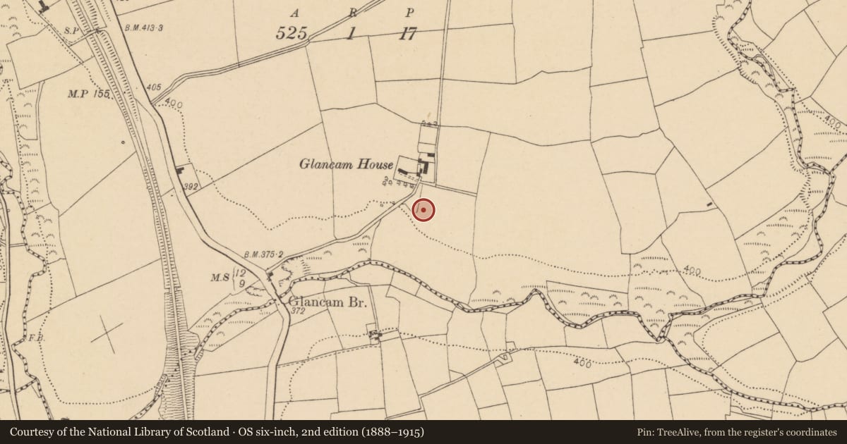Ordnance Survey six-inch map, 2nd edition (1888–1915) covering the location of Fulacht fia, Glancam, County Cork, with a pin at the register's coordinates