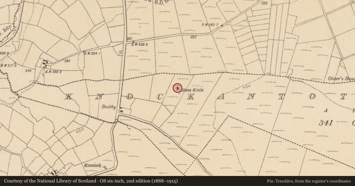 Ordnance Survey six-inch map, 2nd edition (1888–1915) covering the location of Standing stone - pair, Knockantota North, County Cork, with a pin at the register's coordinates