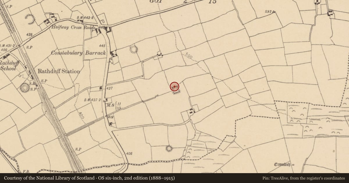 Ordnance Survey six-inch map, 2nd edition (1888–1915) covering the location of Souterrain, Rathduff, County Cork, with a pin at the register's coordinates