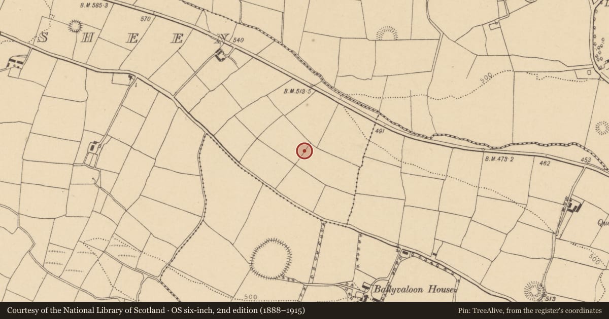 Ordnance Survey six-inch map, 2nd edition (1888–1915) covering the location of Enclosure, Ballymorisheen, County Cork, with a pin at the register's coordinates