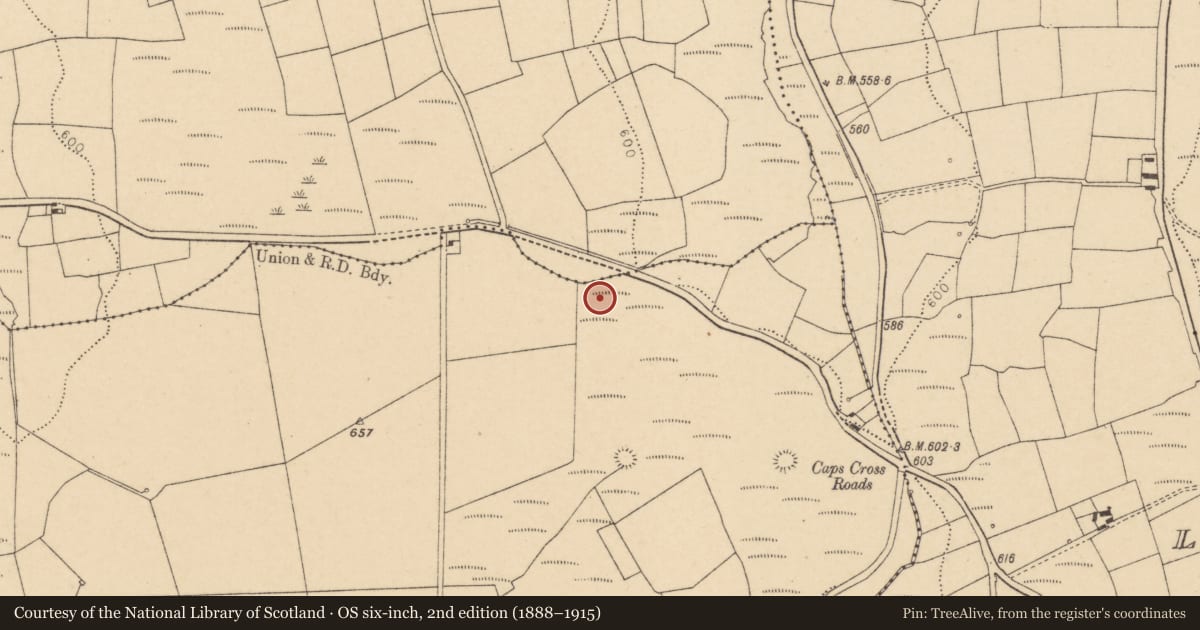 Ordnance Survey six-inch map, 2nd edition (1888–1915) covering the location of Fulacht fia, Pluckanes North, County Cork, with a pin at the register's coordinates